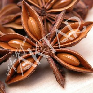 Anason (Yıldız) 100 gr.