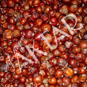 Ardıç Tohumu 100 gr.