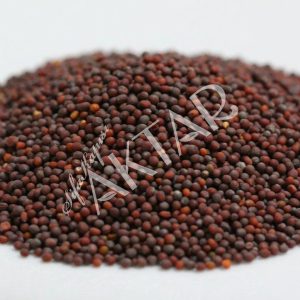 Hardal Tohumu (Siyah) 100 gr.