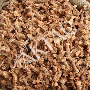 Havlıcan (Kök) 100 gr.