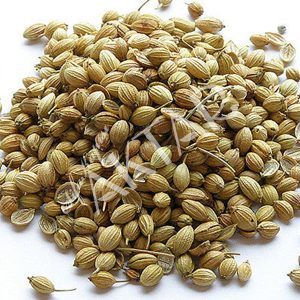 Kişniş 100 gr.