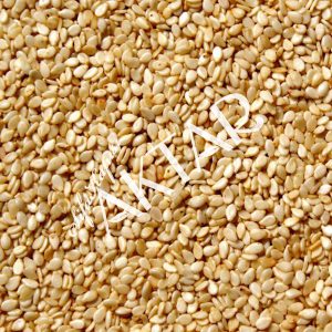 Susam 100 gr.