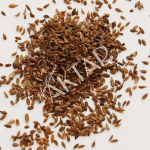 Tere Tohumu 100 gr.