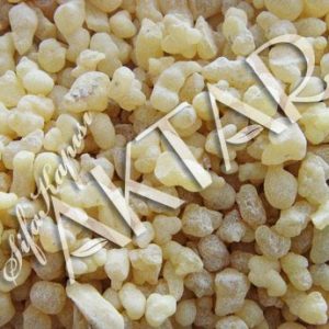 Günlük Sakızı 100 gr.