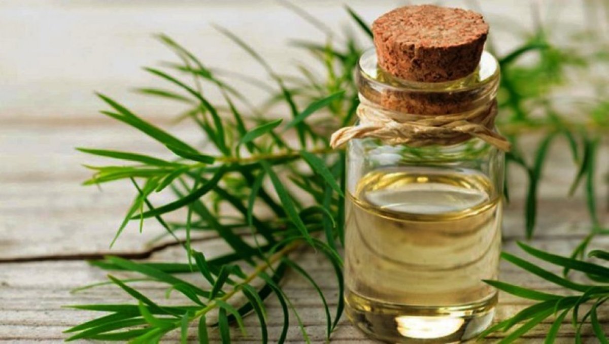 Herbaflora Çay Ağacı Yağı 20 ml.