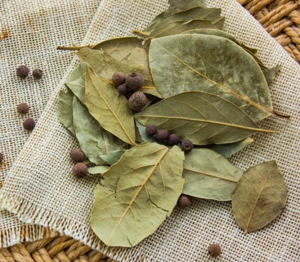 Defne Yaprağı 100 gr.