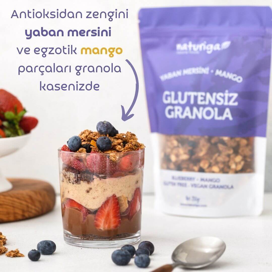 Naturiga Glutensiz Yaban mersini & Mango Granola 250 gr. - Görsel 2