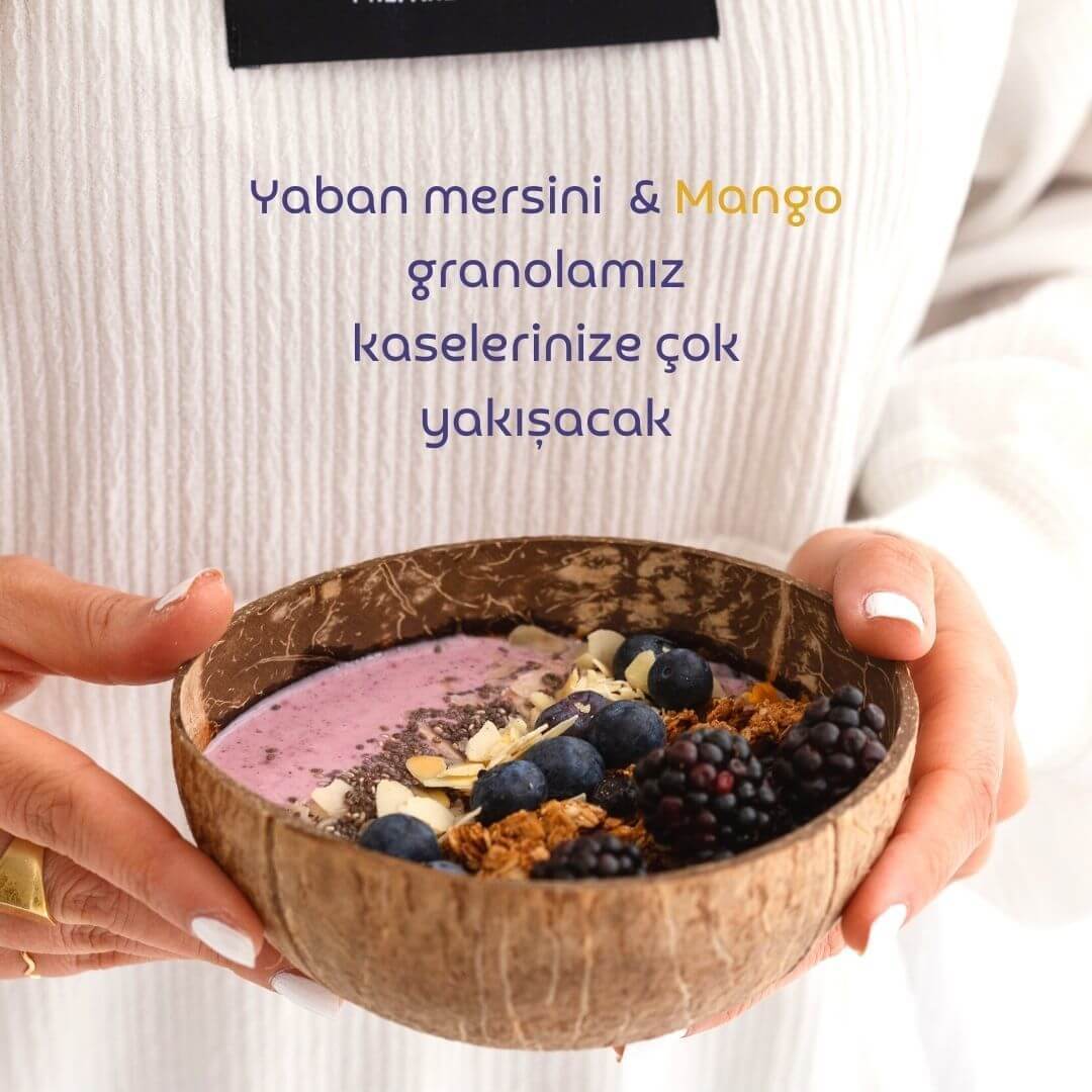 Naturiga Glutensiz Yaban mersini & Mango Granola 250 gr. - Görsel 3